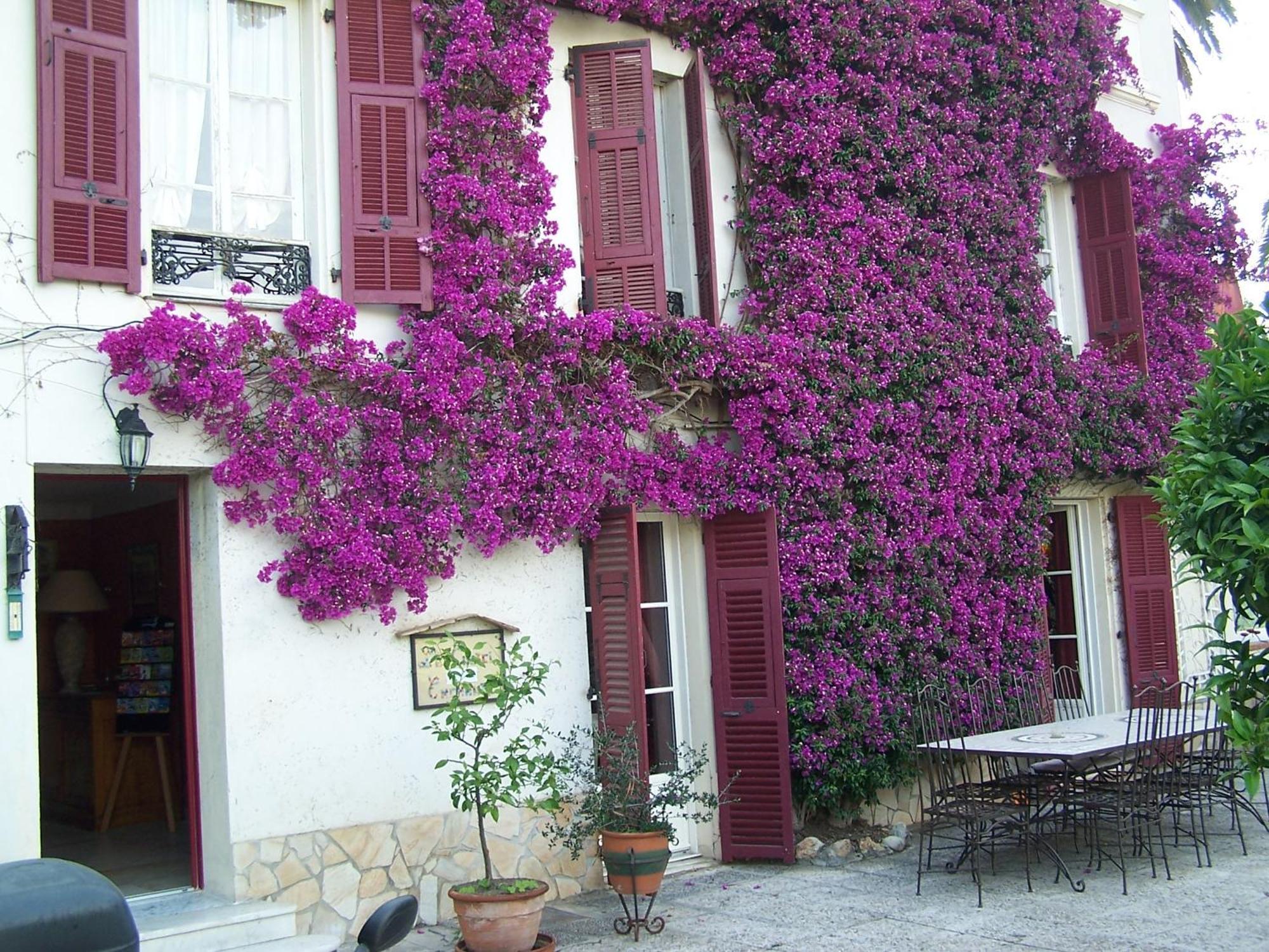 Castel Enchante Nice Buitenkant foto